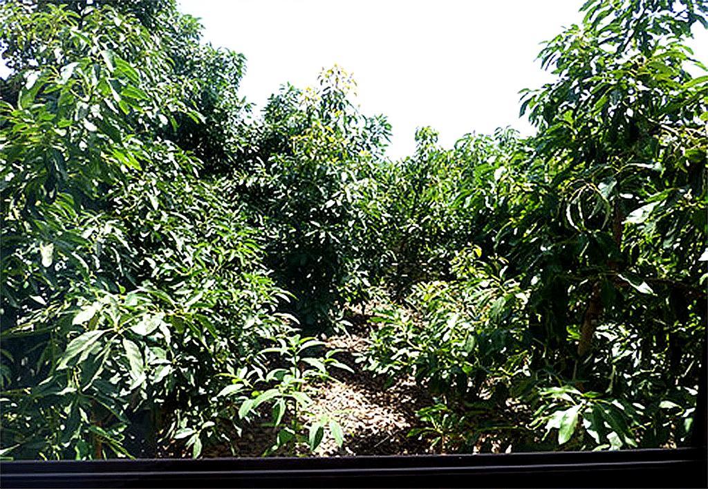 Casa Villa Tenerife Las Galletas Eksteriør bilde